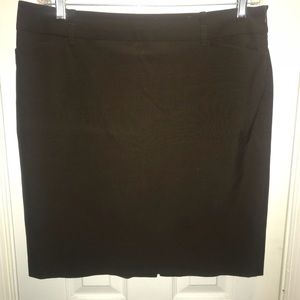 Ann Taylor LOFT Skirt Size 14